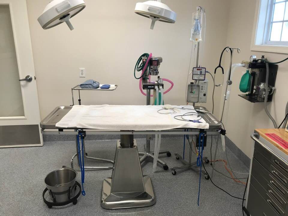 Surgery Suite