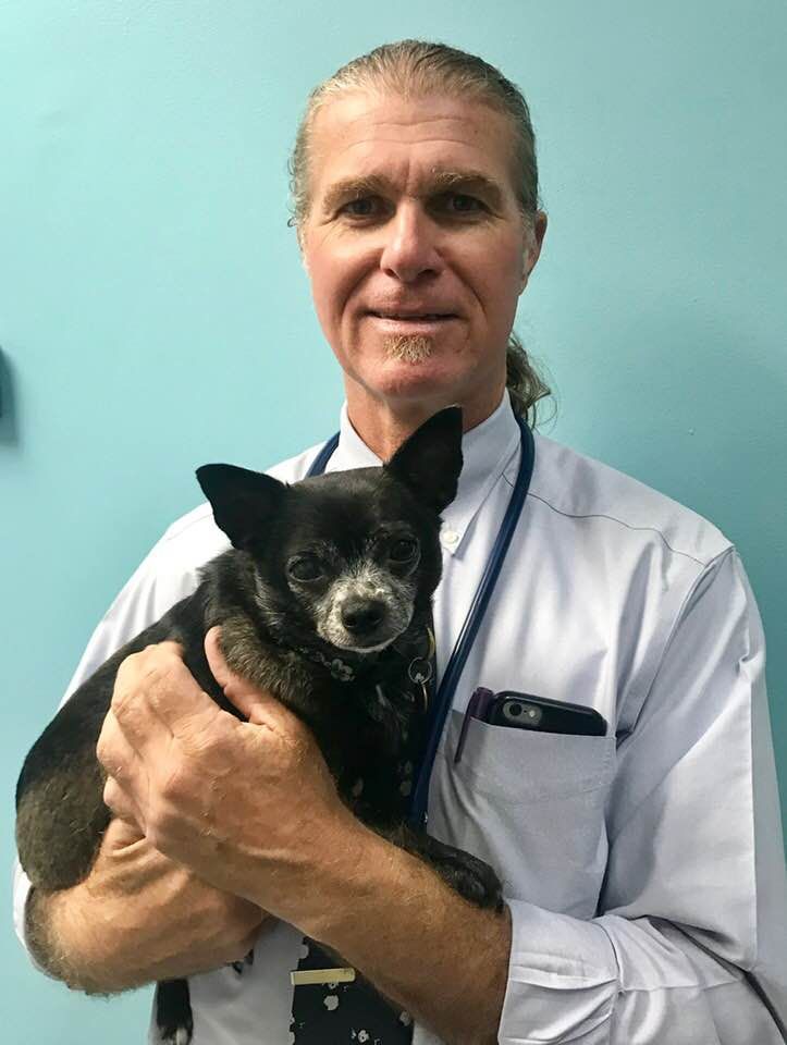 Meet Our Veterinarians in Virginia Beach VA | Beach Pet Hospital