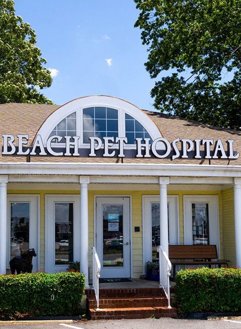 Beach Pet Hospital Front Office