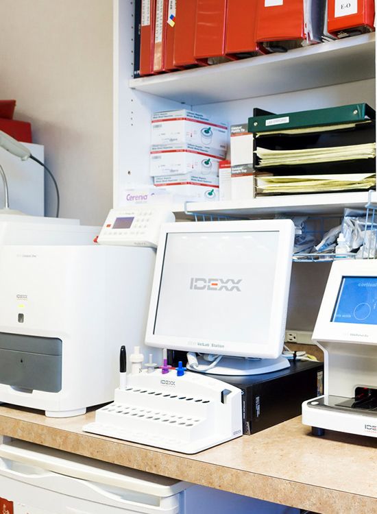 lab technology