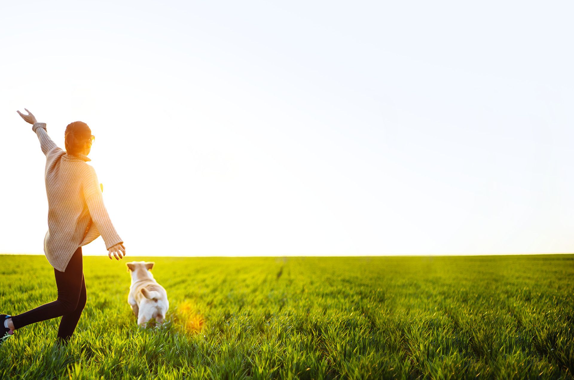 Veterinarians In Salinas Ca Animal Hospital Of Salinas