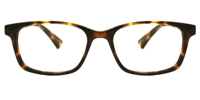 Light Tortoise