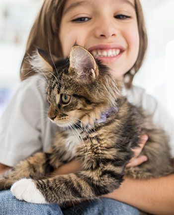 child and cat