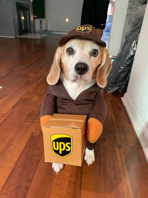 Coco as UPS Delivery Girl