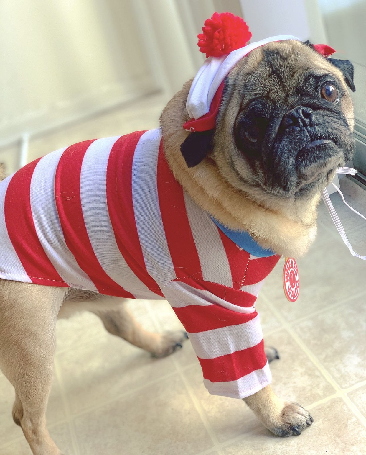 Boomer, Where’s Waldo?