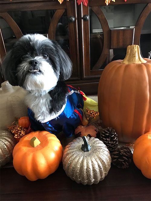 Bella as Snow White