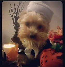 Cornelius in his Sailor costume 