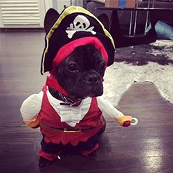 Henry as a Pirate