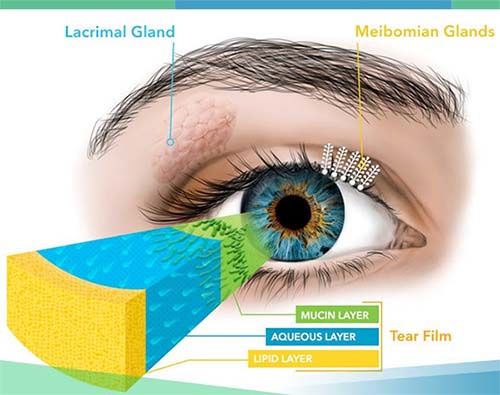 Lacrimal