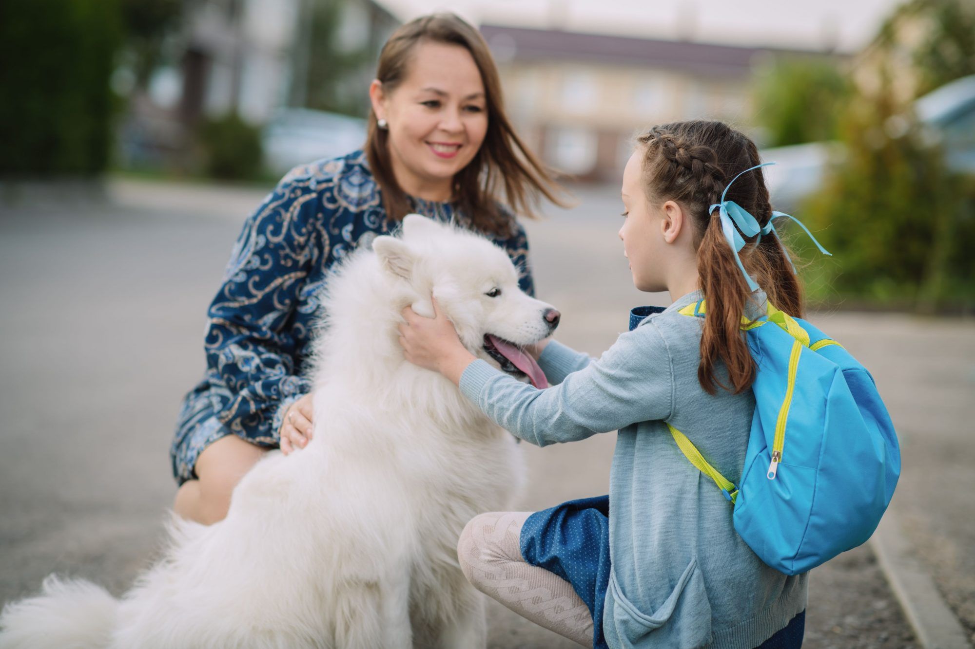 How To Improve Pet Safety During the Back-to-School Season