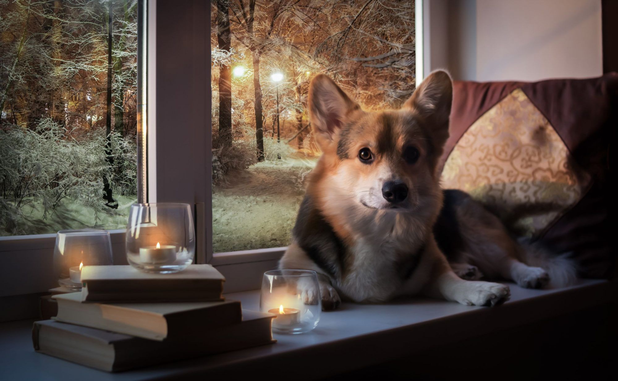 Problematic Trends: Home Decor & Seasonal Trends Not Safe for Pets