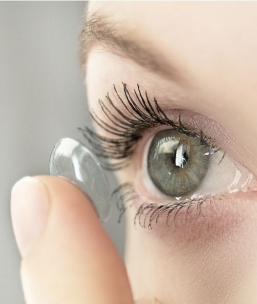 contacts