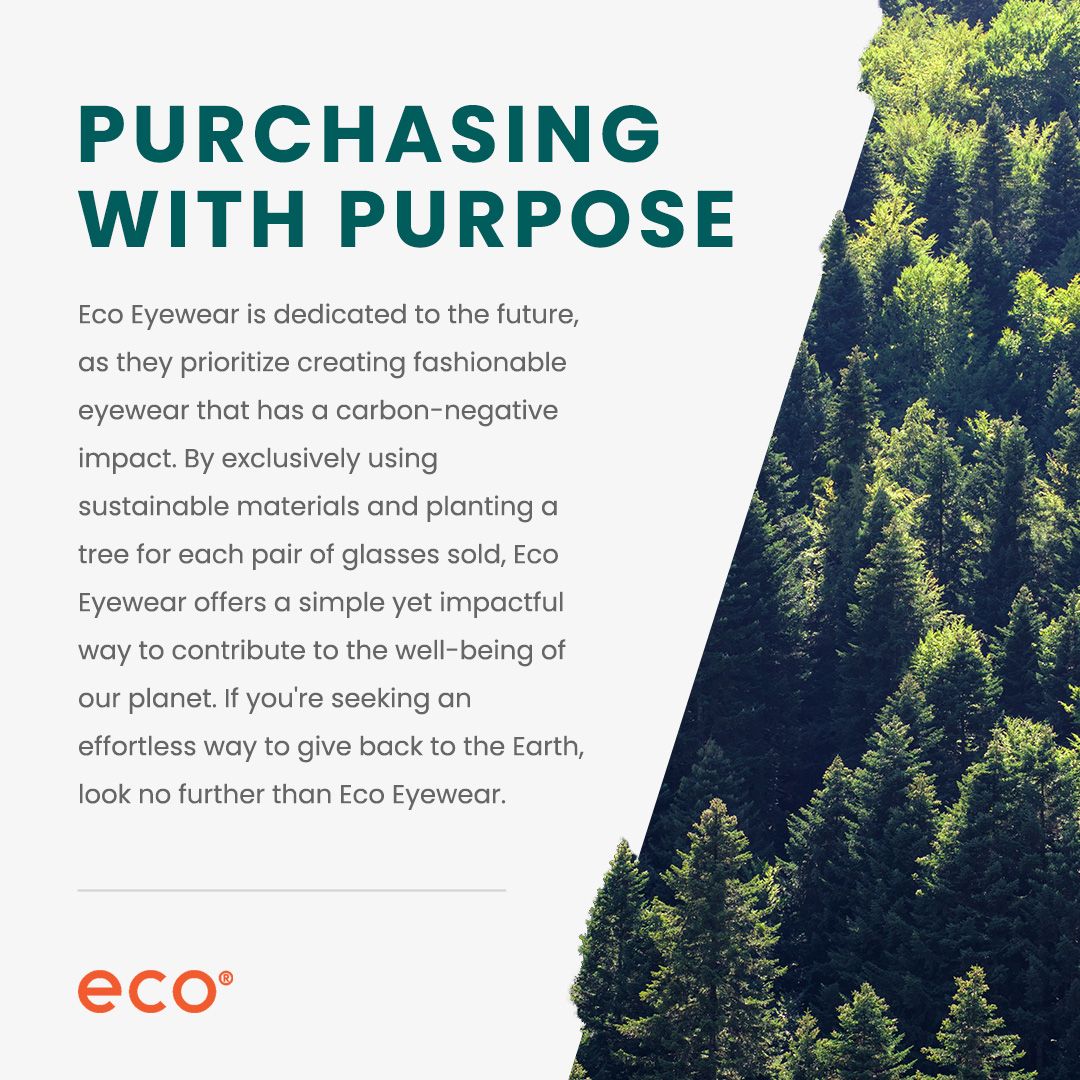 Image showcasing Our Sustainability Initiatives