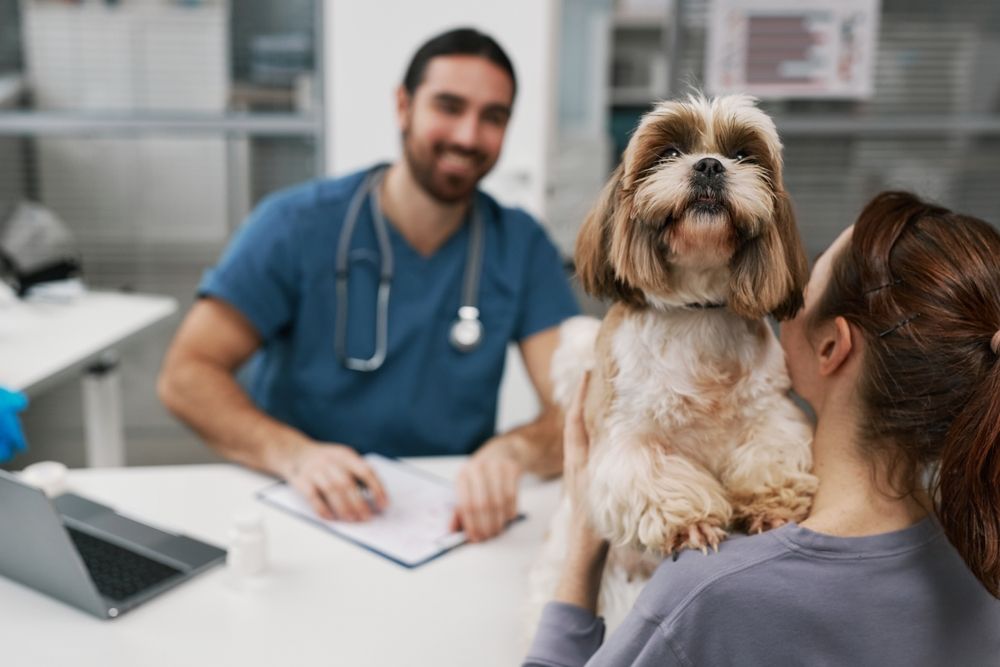 Why Regular Vet Visits Are Essential for Your Pet's Health