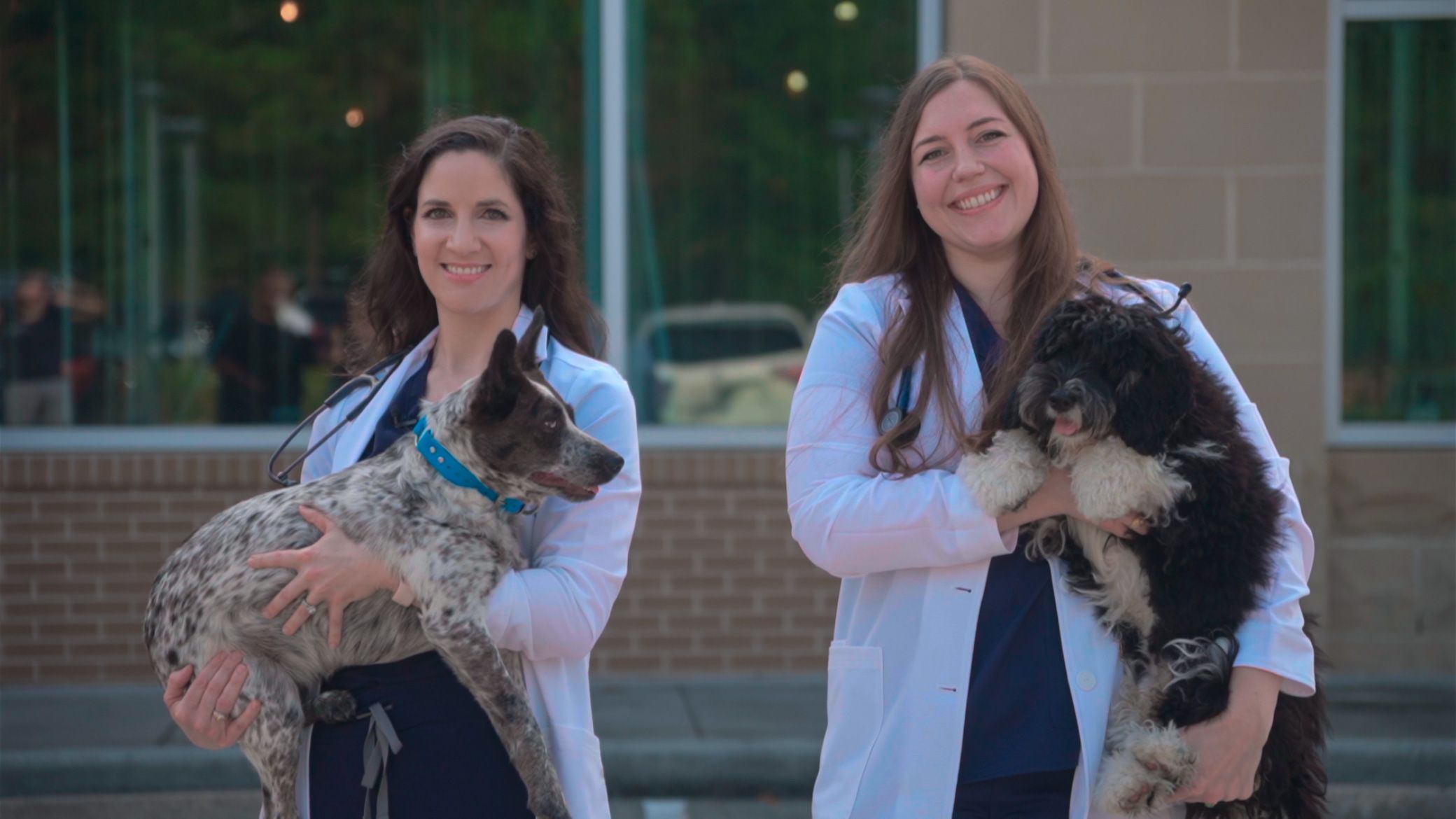 Primary and Urgent Pet Care in The Woodlands, TX