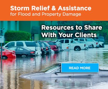 San Diego Flood Relief Assistance