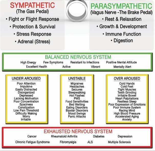 sympathetic vs parasympathetic nervous system