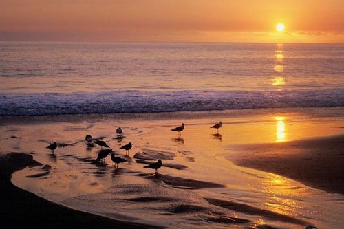 Laguna Beach - Oceanfront