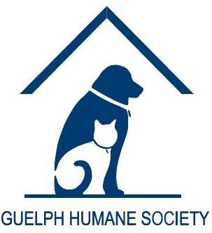 Web Resources Woodlawn Veterinary Hospital Web Resources Woodlawn Veterinary Hospital