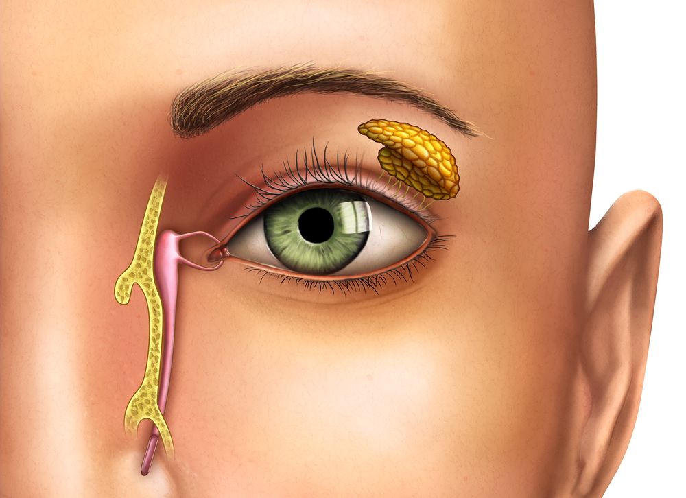 Dry Eye Defense: The Benefits of Punctal Plugs