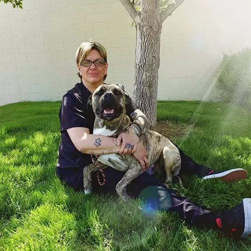 Veterinary Staff In Greenwood Village Cherry Hills Animal Hospital