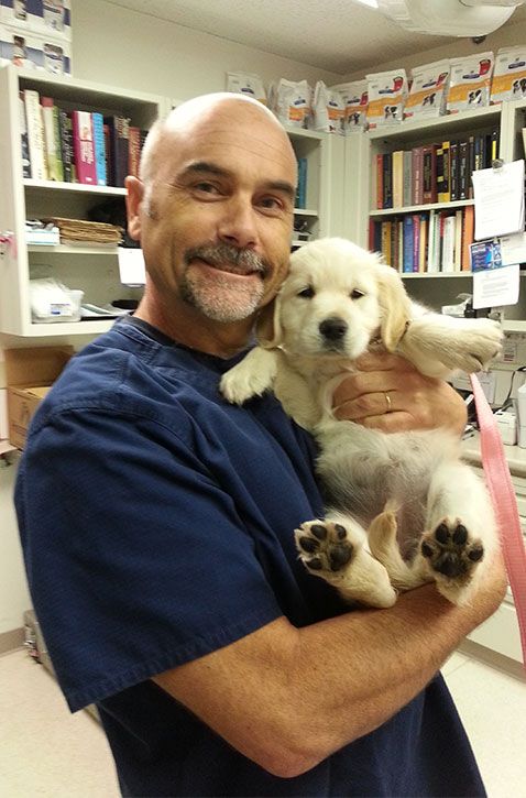 Del Mar Pet Hospital Staff