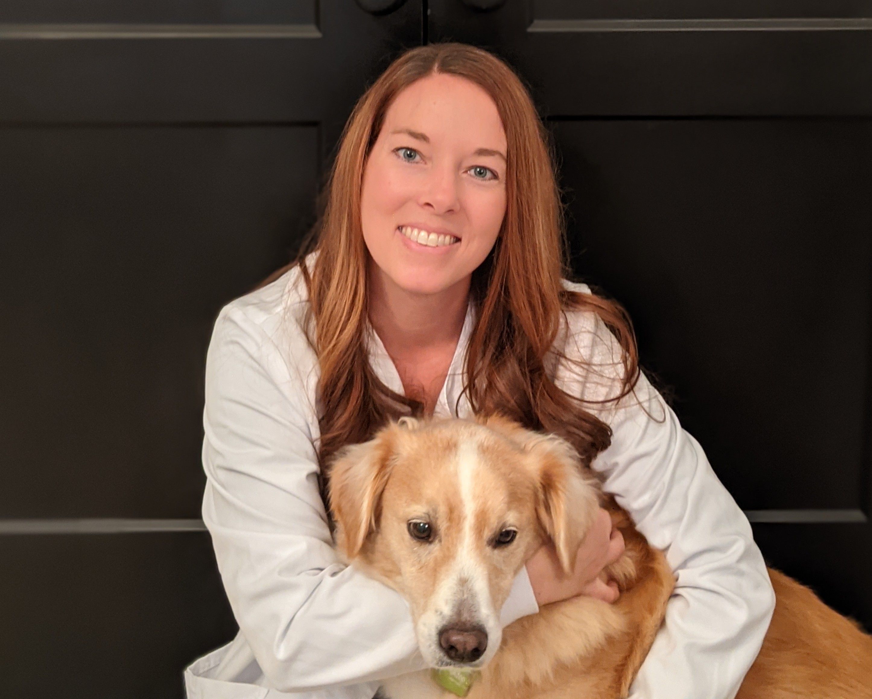 Animal Urgent Care Belmont Nc VINAML