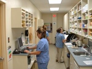 blood lab pet tests veterinarians distress thus cannot rely hurt symptoms beyond tell signs where they their