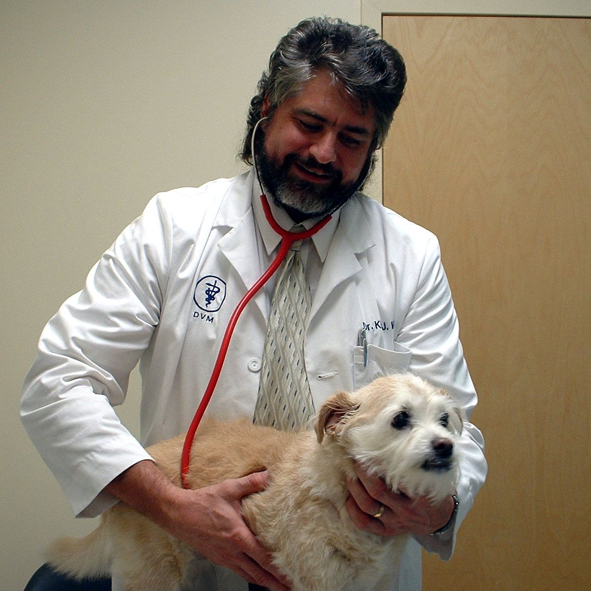 Meet the Veterinarians of Wilkinson Animal Hospital in Gastonia, NC