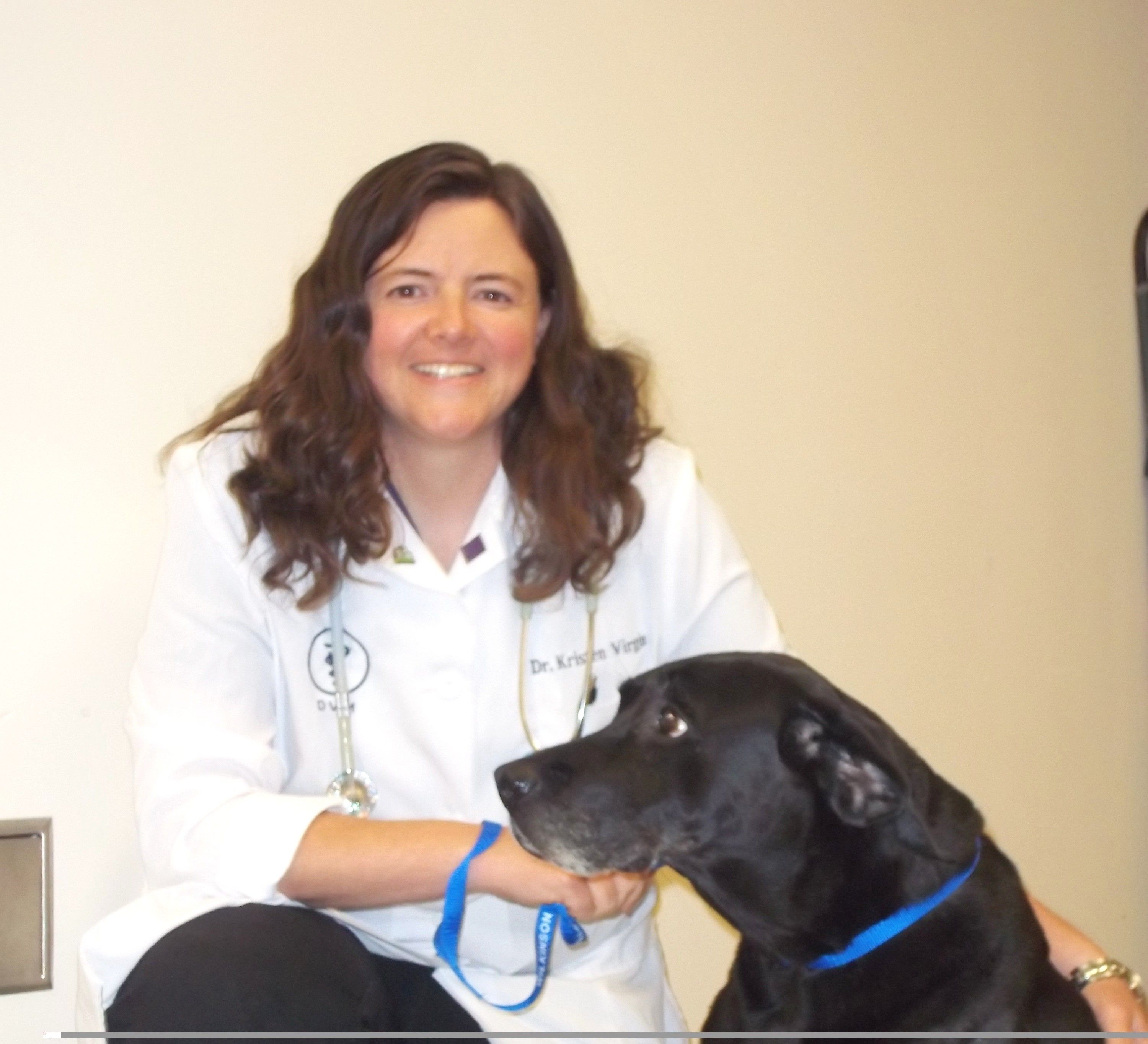 Meet the Veterinarians of Wilkinson Animal Hospital in Gastonia, NC
