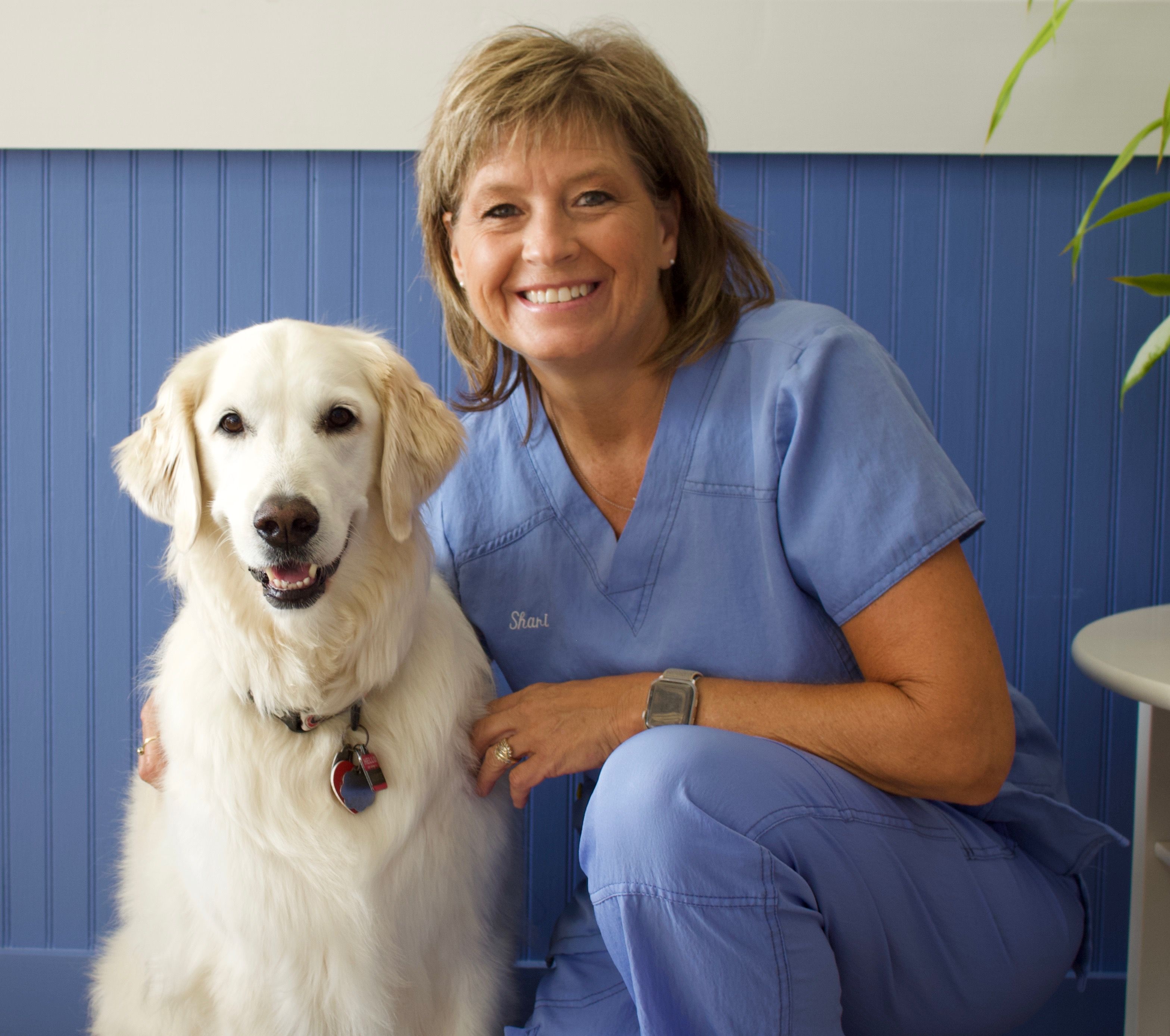 About Our Vets in Ponte Vedra Beach FL Animal Care of