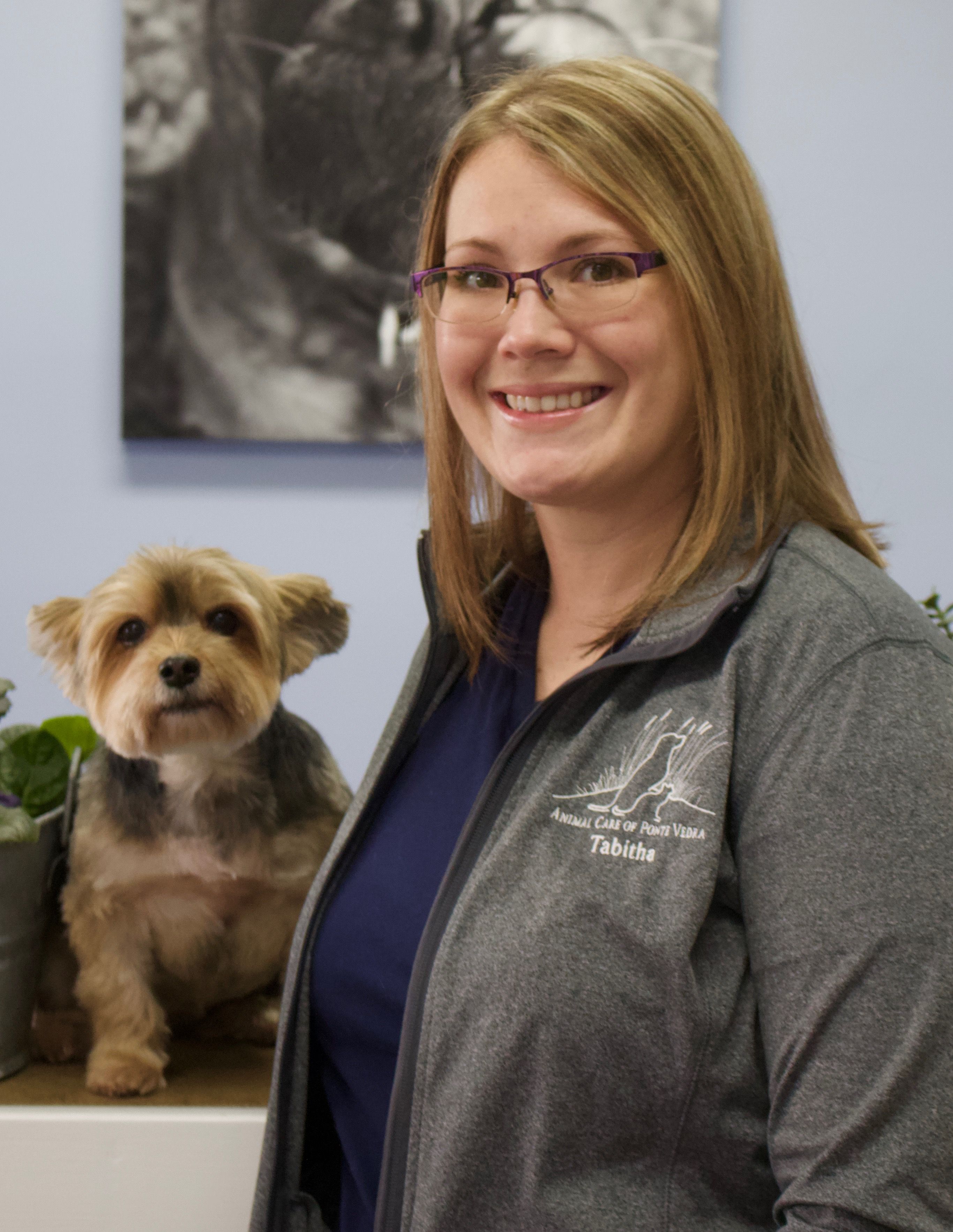 About Our Vets in Ponte Vedra Beach FL Animal Care of