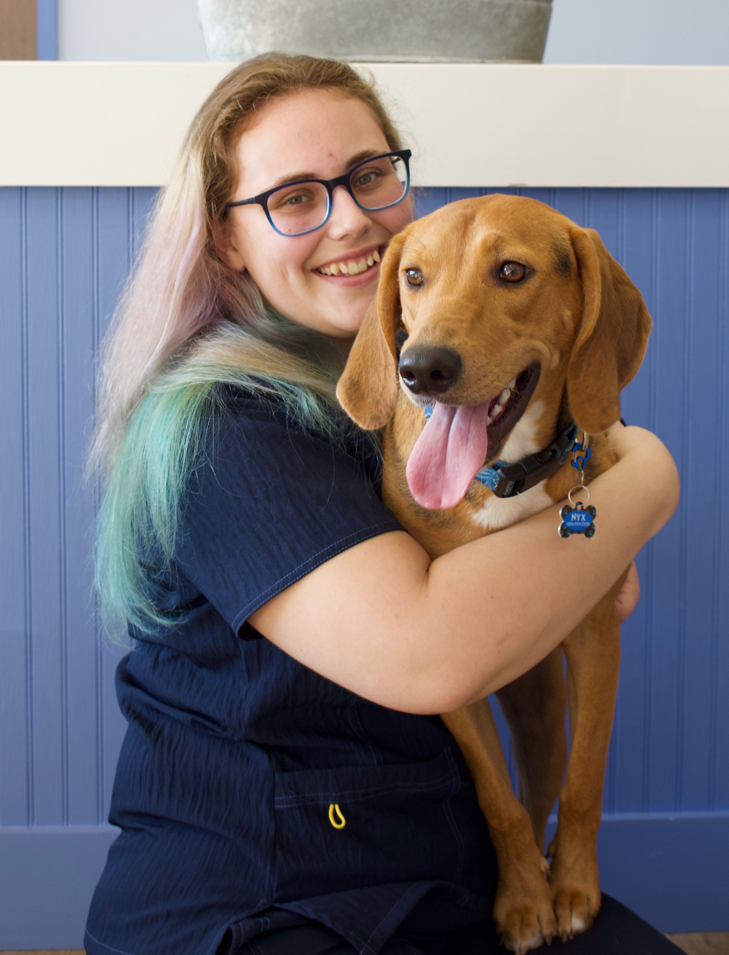 About Our Vets in Ponte Vedra Beach FL Animal Care of