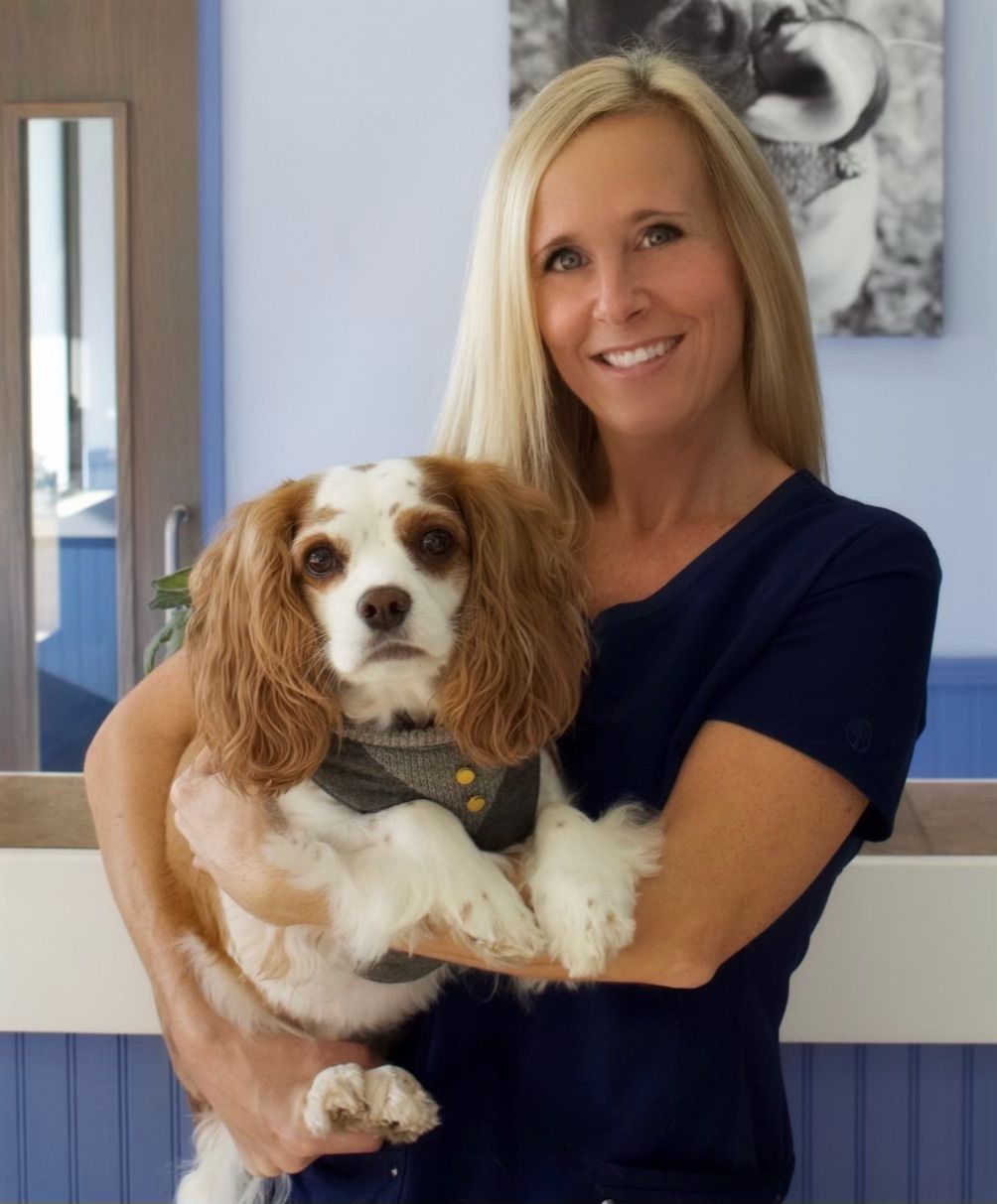 About Our Vets in Ponte Vedra Beach FL Animal Care of