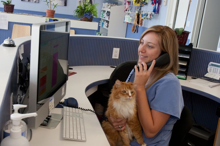Animal Care of Ponte Vedra Virtual Tour Ponte Vedra