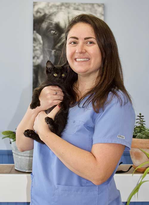 About Our Vets in Ponte Vedra Beach FL Animal Care of