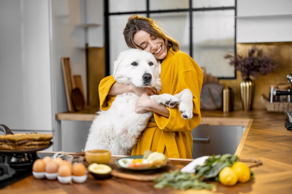 Is Homemade Dog Food Enough Nutrition?