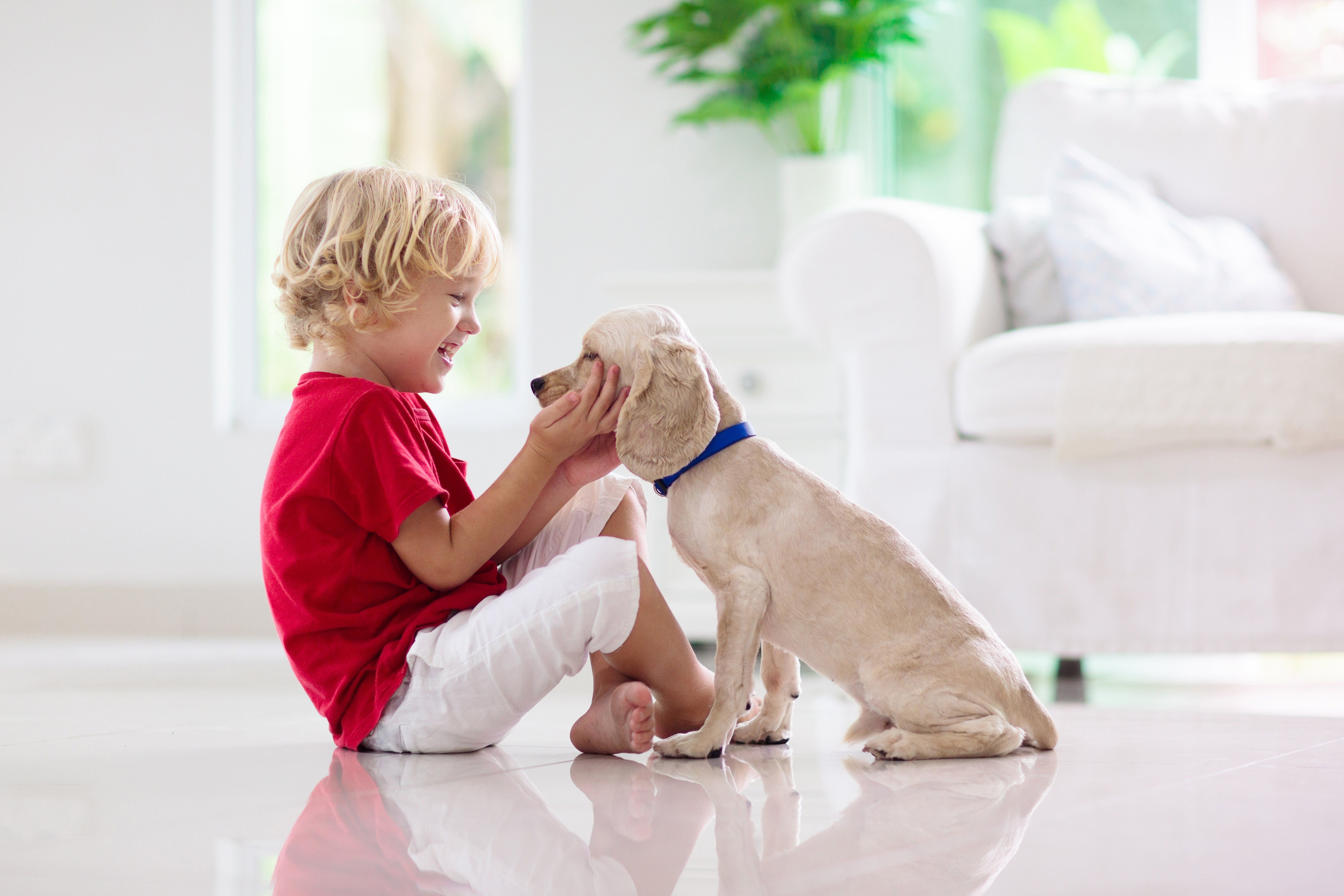 Why Is Puppy Socialization Important?