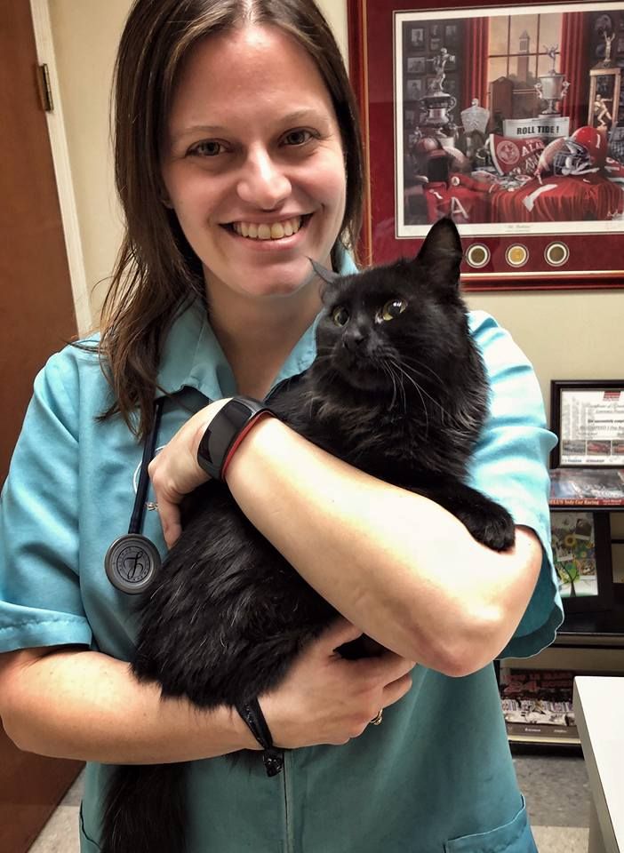 Blog Search at Helena Veterinary Clinic