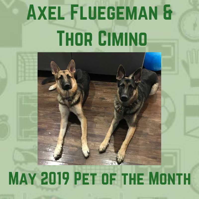 Axel Fluegeman & Thor Cimino