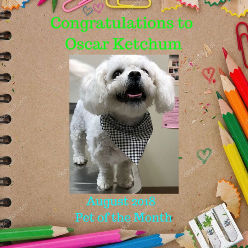 Oscar Ketchum