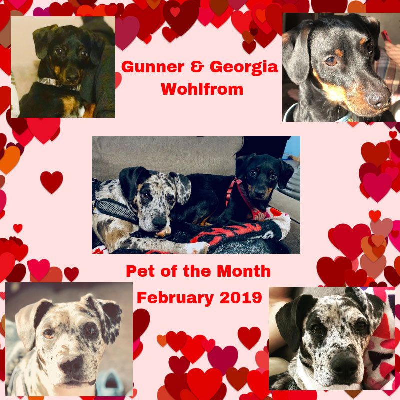 Gunner & Georgia Wohlfrom