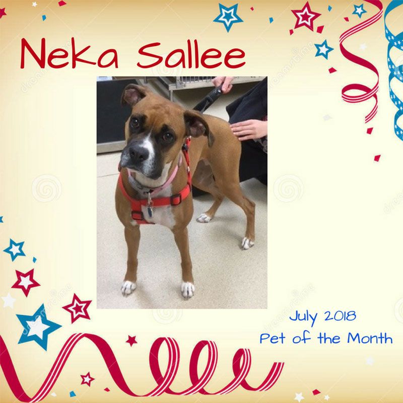 Neka Sallee