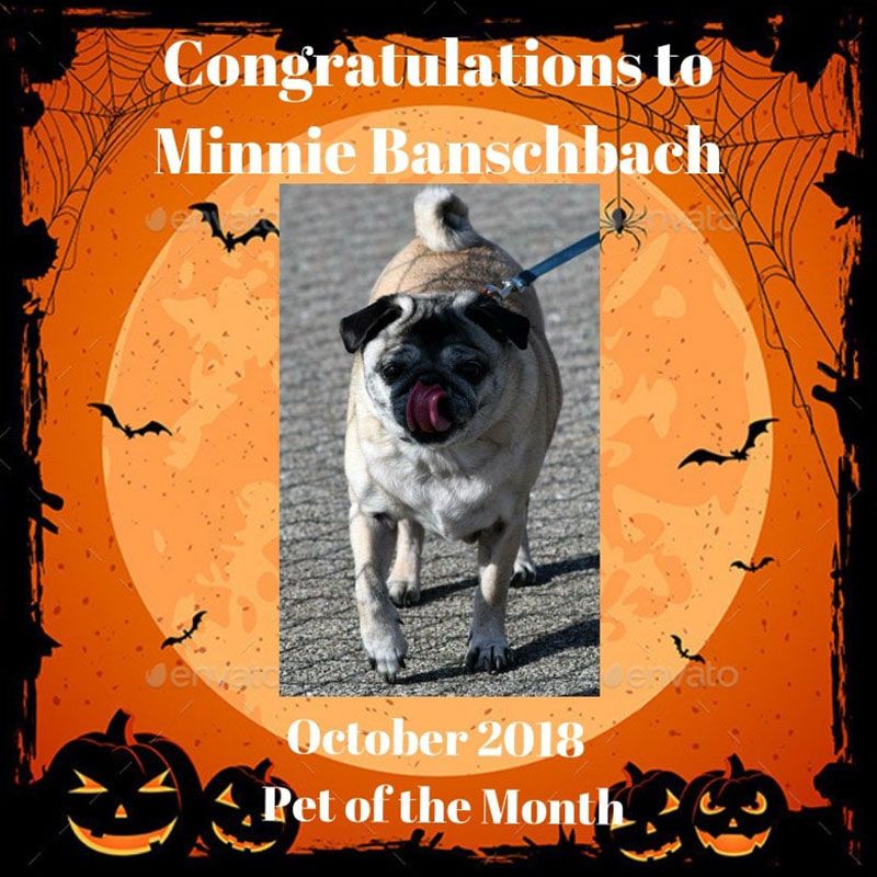 Minnie Banschbach