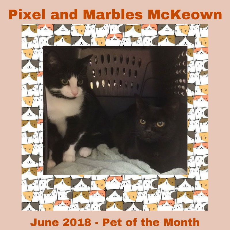 Pixel and Marbles Mckeown