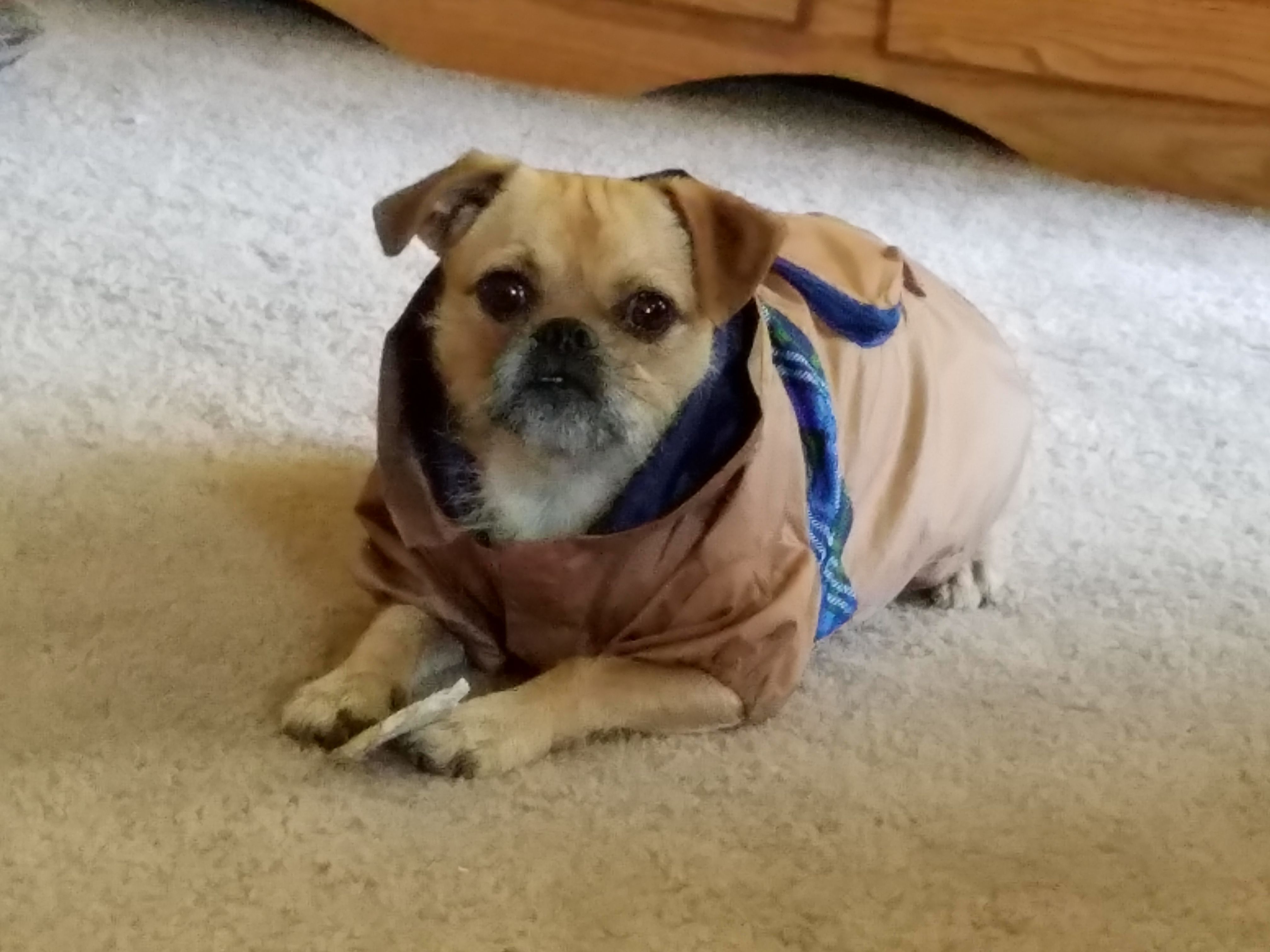 Pixie Demaree