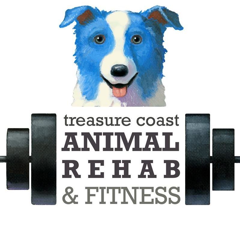 Unleashing Happiness: The Comprehensive Care Offered At Treasure Coast Animal Rehab and Fitness