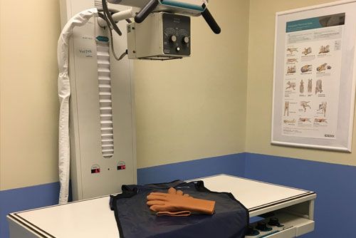 Cognitive Dysfunction Screening