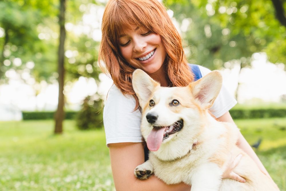 The Benefits of Positive Reinforcement Training in Dog Daycare