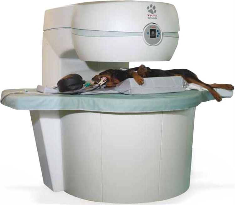 vet equipments